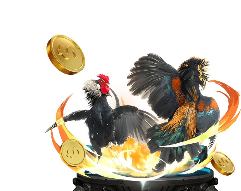 Người chia bài trực tiếp tại sòng bạc hi88